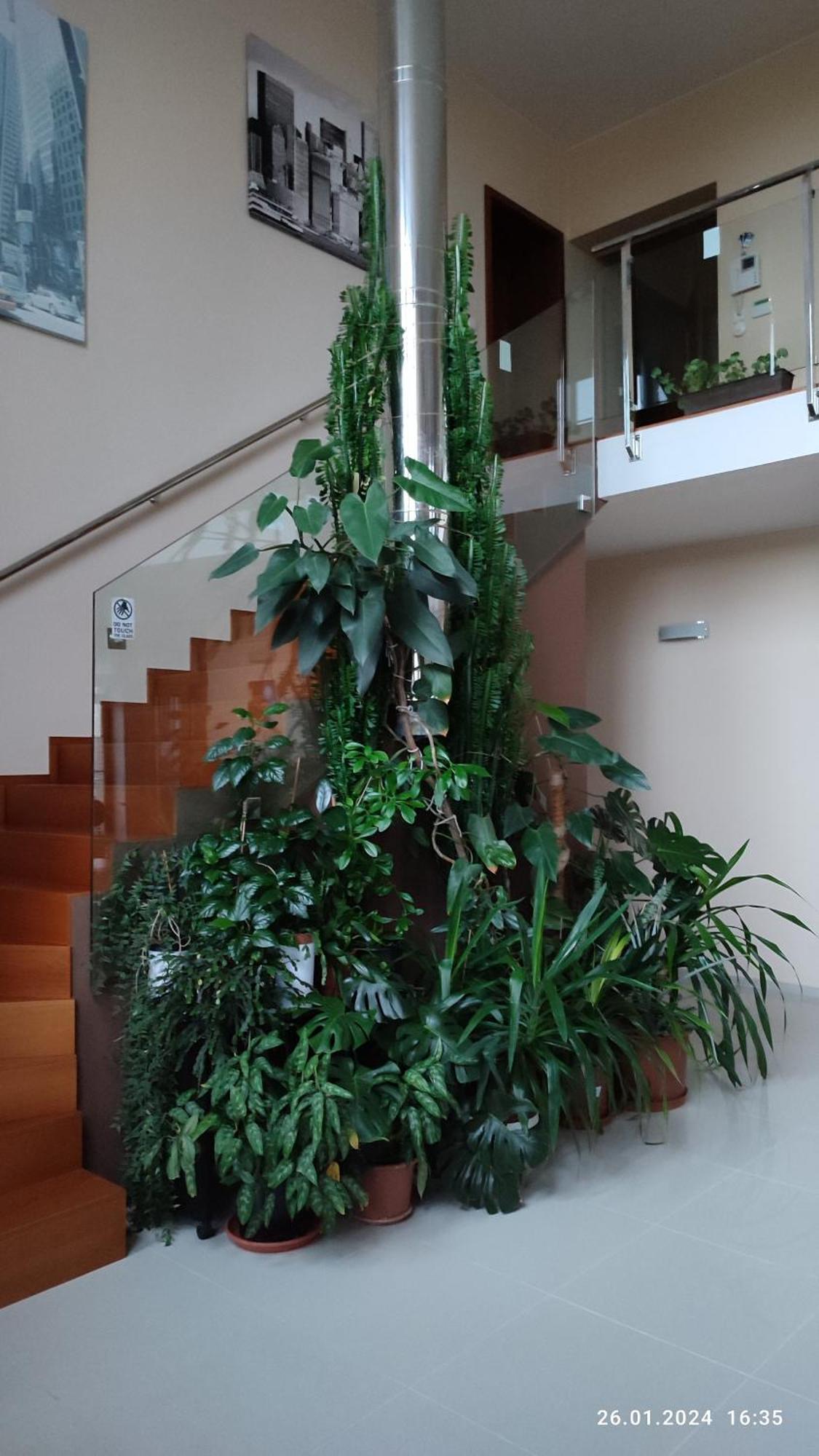 Privat bolig Nad Helmrovkou